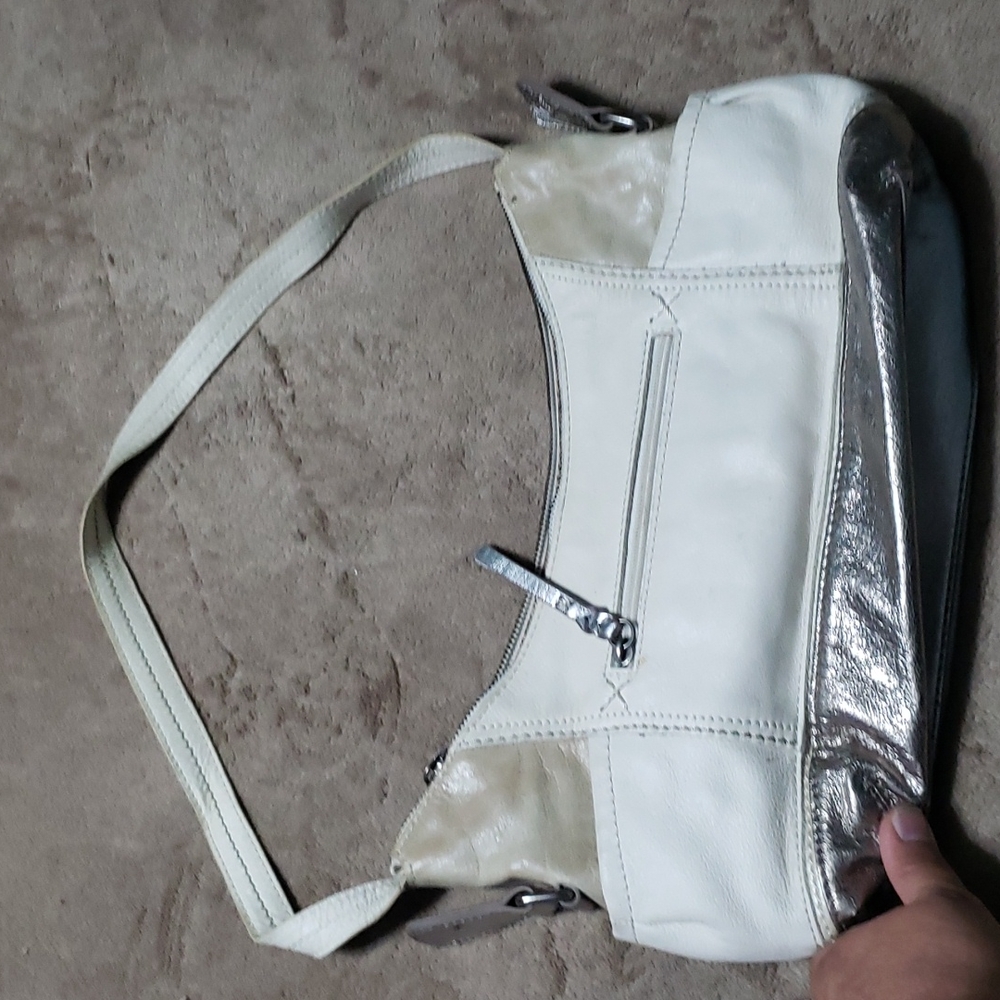 the Sak Handbag